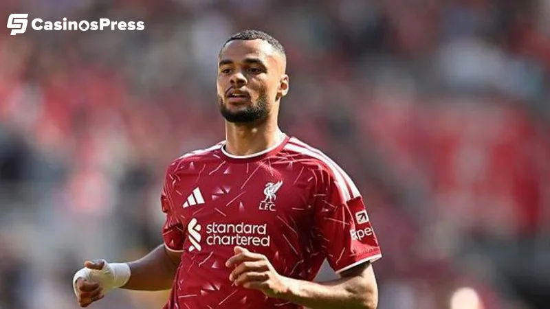 Gakpo to Spurs Would Be a Steal — and Liverpool Know It