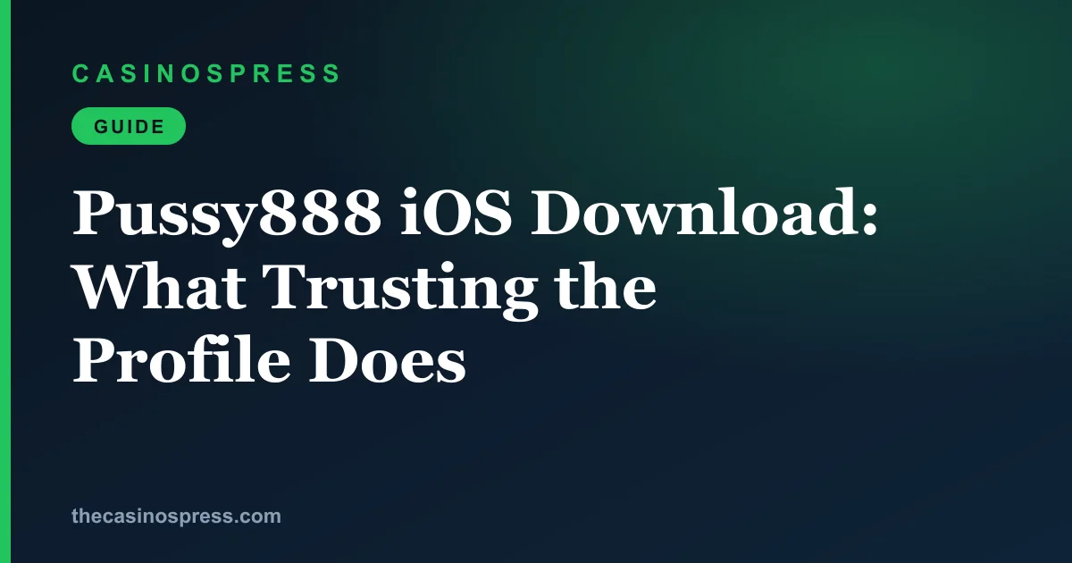 An iPhone Settings screen asking the owner to trust an unnamed enterprise app developer